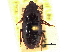  ( - CCDB-21414-C12)  @11 [ ] CreativeCommons - Attribution (2014) CBG Photography Group Centre for Biodiversity Genomics