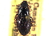  ( - CCDB-21414-F05)  @11 [ ] CreativeCommons - Attribution (2014) CBG Photography Group Centre for Biodiversity Genomics
