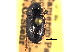  ( - CCDB-21414-F06)  @11 [ ] CreativeCommons - Attribution (2014) CBG Photography Group Centre for Biodiversity Genomics