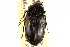  ( - CCDB-21414-H09)  @13 [ ] CreativeCommons - Attribution (2014) CBG Photography Group Centre for Biodiversity Genomics