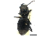  ( - CCDB-21415-C02)  @11 [ ] CreativeCommons - Attribution (2014) CBG Photography Group Centre for Biodiversity Genomics