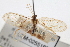  ( - CCDB-21416-H04)  @11 [ ] CreativeCommons - Attribution (2014) CBG Photography Group Centre for Biodiversity Genomics