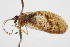  ( - CCDB-21416-H05)  @11 [ ] CreativeCommons - Attribution (2014) CBG Photography Group Centre for Biodiversity Genomics