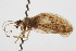  ( - CCDB-21416-H06)  @11 [ ] CreativeCommons - Attribution (2014) CBG Photography Group Centre for Biodiversity Genomics