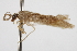  ( - CCDB-21416-H07)  @11 [ ] CreativeCommons - Attribution (2014) CBG Photography Group Centre for Biodiversity Genomics