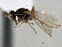  ( - CCDB-21420-A09)  @11 [ ] CreativeCommons - Attribution (2014) CBG Photography Group Centre for Biodiversity Genomics