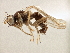  ( - CCDB-21420-A10)  @11 [ ] CreativeCommons - Attribution (2014) CBG Photography Group Centre for Biodiversity Genomics
