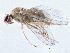  ( - CCDB-21420-B01)  @11 [ ] CreativeCommons - Attribution (2014) CBG Photography Group Centre for Biodiversity Genomics