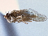  ( - CCDB-21420-B03)  @11 [ ] CreativeCommons - Attribution (2014) CBG Photography Group Centre for Biodiversity Genomics