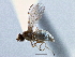  ( - CCDB-21420-B04)  @11 [ ] CreativeCommons - Attribution (2014) CBG Photography Group Centre for Biodiversity Genomics