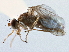  ( - CCDB-21420-B05)  @11 [ ] CreativeCommons - Attribution (2014) CBG Photography Group Centre for Biodiversity Genomics