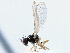  ( - CCDB-21420-C03)  @11 [ ] CreativeCommons - Attribution (2014) CBG Photography Group Centre for Biodiversity Genomics
