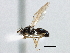  ( - CCDB-21420-C08)  @11 [ ] CreativeCommons - Attribution (2014) CBG Photography Group Centre for Biodiversity Genomics