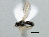  ( - CCDB-21420-C09)  @11 [ ] CreativeCommons - Attribution (2014) CBG Photography Group Centre for Biodiversity Genomics
