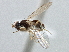  ( - CCDB-21420-C10)  @11 [ ] CreativeCommons - Attribution (2014) CBG Photography Group Centre for Biodiversity Genomics
