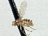 ( - CCDB-21420-D01)  @11 [ ] CreativeCommons - Attribution (2014) CBG Photography Group Centre for Biodiversity Genomics