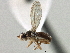  ( - CCDB-21420-D12)  @11 [ ] CreativeCommons - Attribution (2014) CBG Photography Group Centre for Biodiversity Genomics