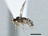  ( - CCDB-21420-E03)  @11 [ ] CreativeCommons - Attribution (2014) CBG Photography Group Centre for Biodiversity Genomics