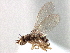  ( - CCDB-21420-E05)  @11 [ ] CreativeCommons - Attribution (2014) CBG Photography Group Centre for Biodiversity Genomics
