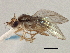  ( - CCDB-21420-E06)  @11 [ ] CreativeCommons - Attribution (2014) CBG Photography Group Centre for Biodiversity Genomics