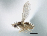  ( - CCDB-21420-E07)  @11 [ ] CreativeCommons - Attribution (2014) CBG Photography Group Centre for Biodiversity Genomics