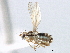  ( - CCDB-21420-F02)  @13 [ ] CreativeCommons - Attribution (2014) CBG Photography Group Centre for Biodiversity Genomics