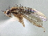  ( - CCDB-21420-F04)  @14 [ ] CreativeCommons - Attribution (2014) CBG Photography Group Centre for Biodiversity Genomics