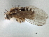  ( - CCDB-21420-F05)  @14 [ ] CreativeCommons - Attribution (2014) CBG Photography Group Centre for Biodiversity Genomics