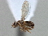  ( - CCDB-21420-F06)  @13 [ ] CreativeCommons - Attribution (2014) CBG Photography Group Centre for Biodiversity Genomics