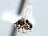  ( - CCDB-21420-G10)  @11 [ ] CreativeCommons - Attribution (2014) CBG Photography Group Centre for Biodiversity Genomics