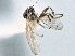  ( - CCDB-21420-G12)  @12 [ ] CreativeCommons - Attribution (2014) CBG Photography Group Centre for Biodiversity Genomics