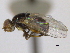 ( - CCDB-21423-B10)  @13 [ ] CreativeCommons - Attribution (2013) CBG Photography Group Centre for Biodiversity Genomics