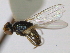  ( - CCDB-21423-B12)  @12 [ ] CreativeCommons - Attribution (2013) CBG Photography Group Centre for Biodiversity Genomics
