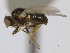  ( - CCDB-21423-C09)  @13 [ ] CreativeCommons - Attribution (2013) CBG Photography Group Centre for Biodiversity Genomics