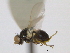  ( - CCDB-21423-D01)  @13 [ ] CreativeCommons - Attribution (2013) CBG Photography Group Centre for Biodiversity Genomics