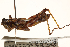  ( - CCDB-21424-F12)  @13 [ ] CreativeCommons - Attribution (2014) CBG Photography Group Centre for Biodiversity Genomics