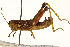  ( - CCDB-21424-G08)  @11 [ ] CreativeCommons - Attribution (2014) CBG Photography Group Centre for Biodiversity Genomics