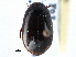  ( - CCDB-21426-C05)  @13 [ ] CreativeCommons - Attribution (2014) CBG Photography Group Centre for Biodiversity Genomics
