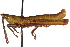  ( - CCDB-21427-C12)  @11 [ ] CreativeCommons - Attribution (2014) CBG Photography Group Centre for Biodiversity Genomics
