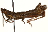  ( - CCDB-21427-E02)  @11 [ ] CreativeCommons - Attribution (2014) CBG Photography Group Centre for Biodiversity Genomics