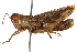  ( - CCDB-21427-E03)  @11 [ ] CreativeCommons - Attribution (2014) CBG Photography Group Centre for Biodiversity Genomics