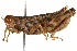  ( - CCDB-21427-E04)  @11 [ ] CreativeCommons - Attribution (2014) CBG Photography Group Centre for Biodiversity Genomics