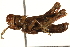  ( - CCDB-21427-E05)  @11 [ ] CreativeCommons - Attribution (2014) CBG Photography Group Centre for Biodiversity Genomics