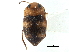  ( - CCDB-21428-H03)  @11 [ ] CreativeCommons - Attribution (2014) CBG Photography Group Centre for Biodiversity Genomics
