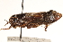  ( - CCDB-21429-A04)  @13 [ ] CreativeCommons - Attribution (2014) CBG Photography Group Centre for Biodiversity Genomics