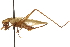  ( - CCDB-21429-H02)  @11 [ ] CreativeCommons - Attribution (2014) CBG Photography Group Centre for Biodiversity Genomics