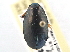  ( - CCDB-21430-F05)  @14 [ ] CreativeCommons - Attribution (2014) CBG Photography Group Centre for Biodiversity Genomics
