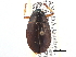  ( - CCDB-21430-F07)  @14 [ ] CreativeCommons - Attribution (2014) CBG Photography Group Centre for Biodiversity Genomics