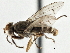  ( - CCDB-21320-B05)  @14 [ ] CreativeCommons - Attribution (2014) CBG Photography Group Centre for Biodiversity Genomics