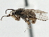 ( - CCDB-21320-B06)  @14 [ ] CreativeCommons - Attribution (2014) CBG Photography Group Centre for Biodiversity Genomics